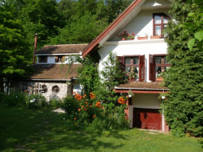 IEDERA Casa de Familii 1